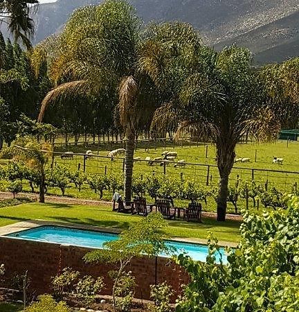 Long Acres Cottages Montagu Kültér fotó